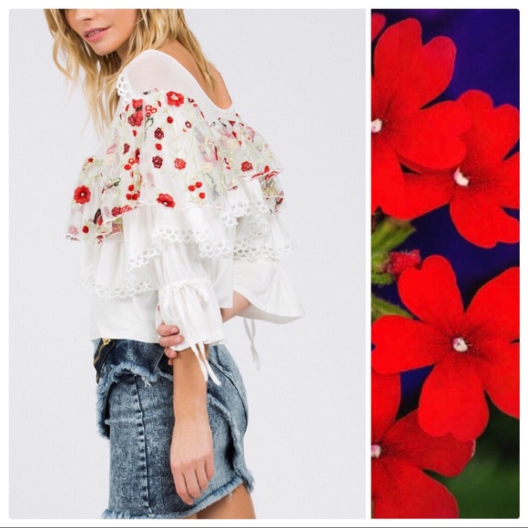 Mariposa Butterfly Garden Top - Picture 2 of 11